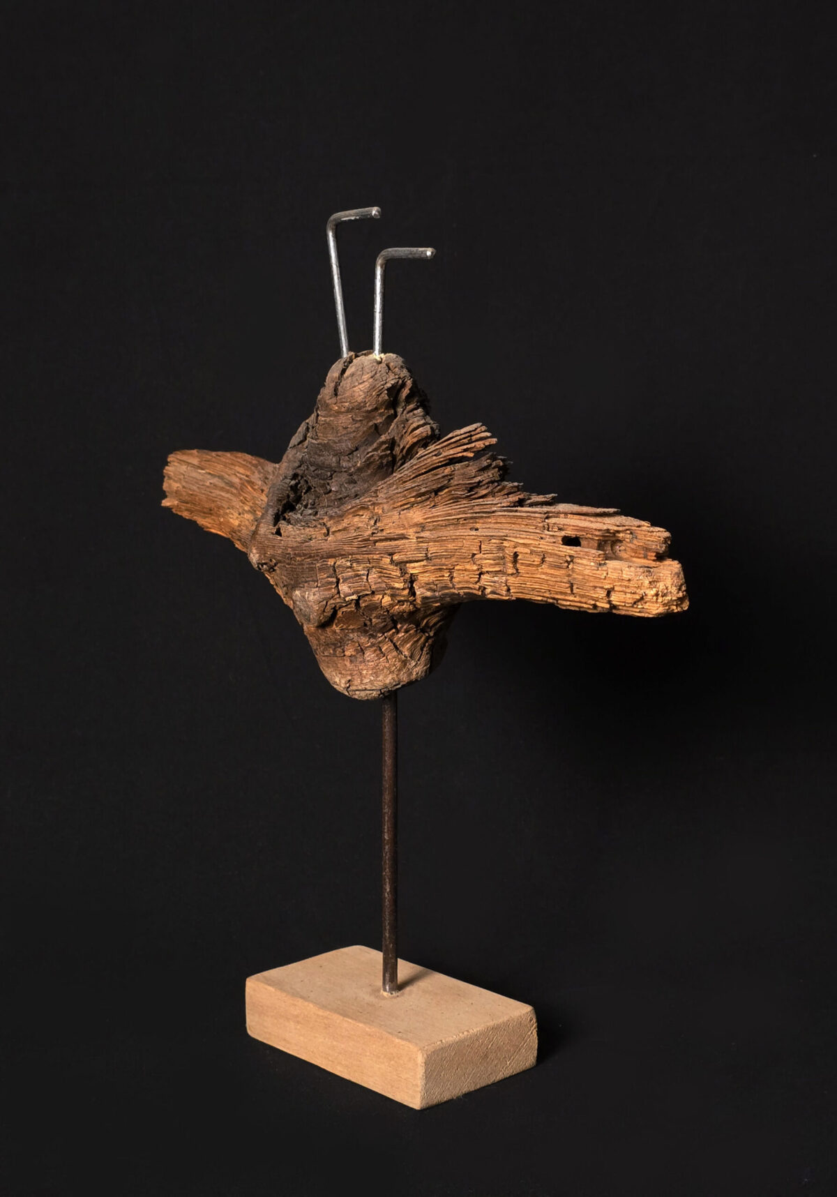Vétéran des profondeurs – sculpture en bois d’olivier, photo 3