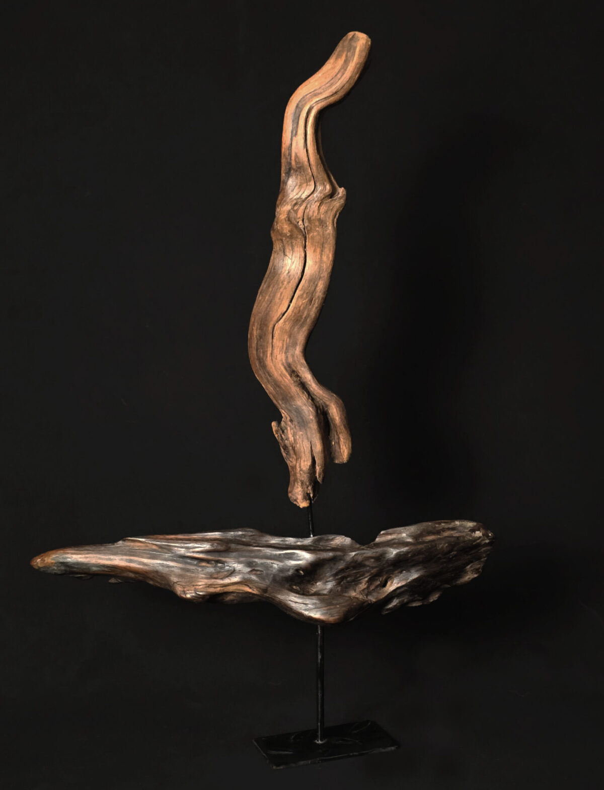 Courant ascendant – sculpture en bois d’olivier, photo 3