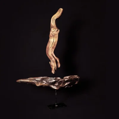 Updraft — olive wood sculpture, photo 3