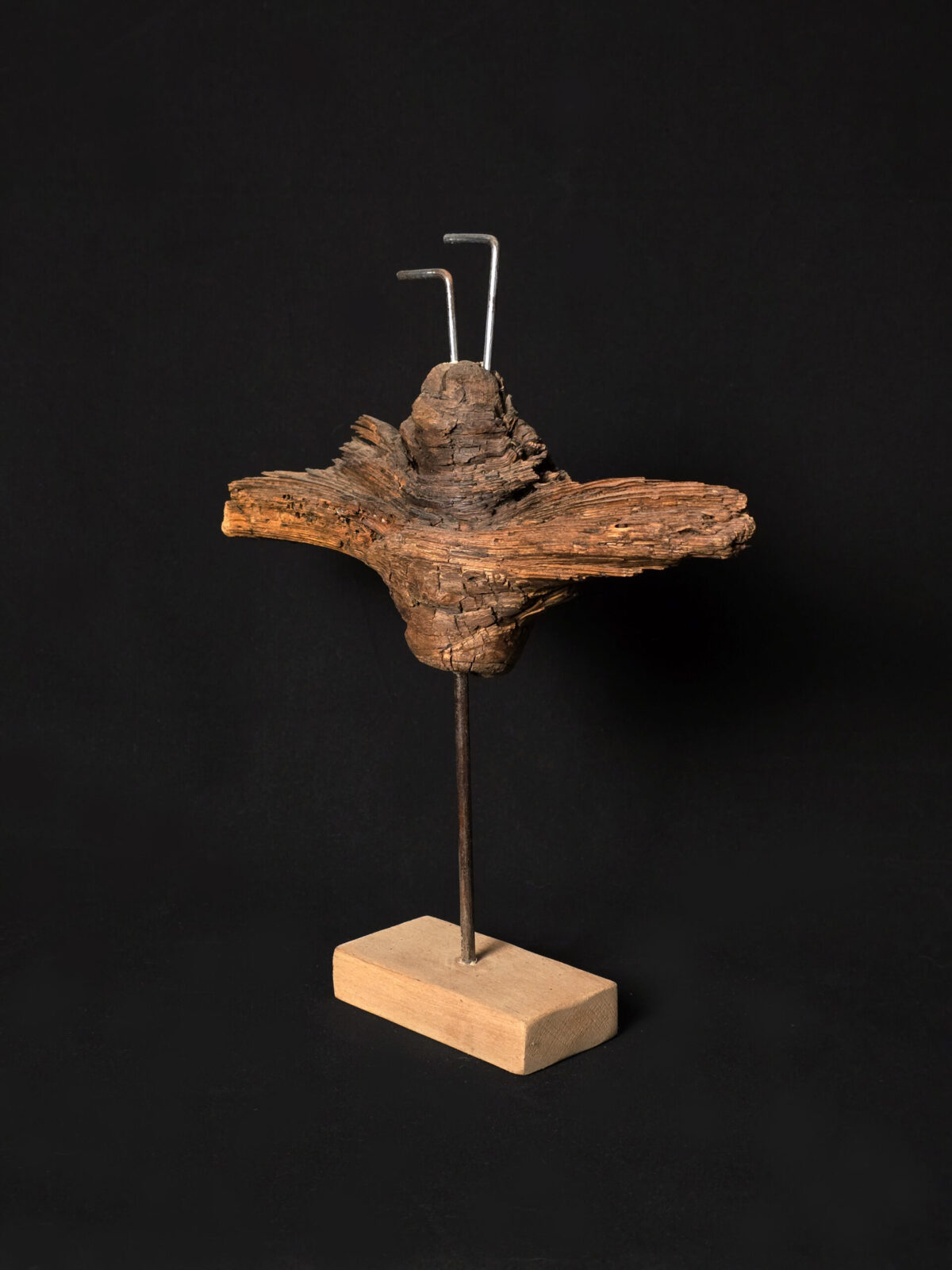 Vétéran des profondeurs – sculpture en bois d’olivier, photo 4