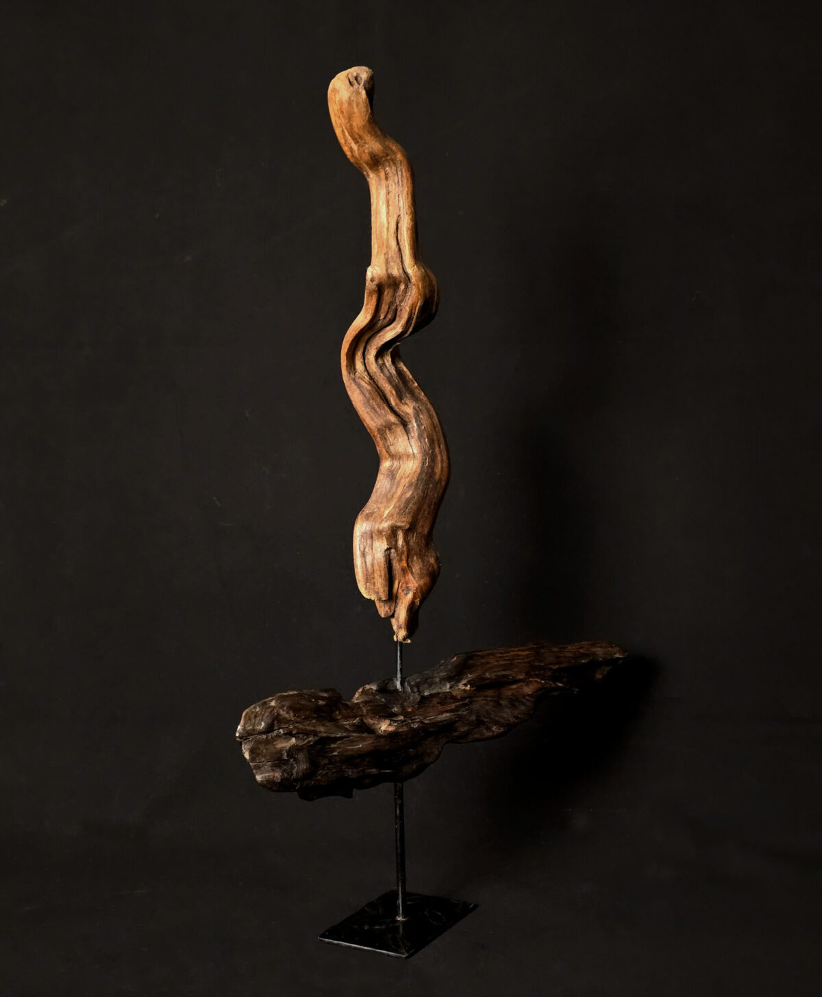 Courant ascendant – sculpture en bois d’olivier, photo 4