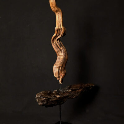 Courant ascendant – sculpture en bois d’olivier, photo 4