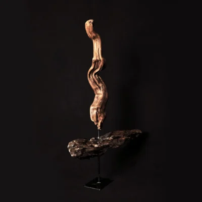 Updraft — olive wood sculpture, photo 4