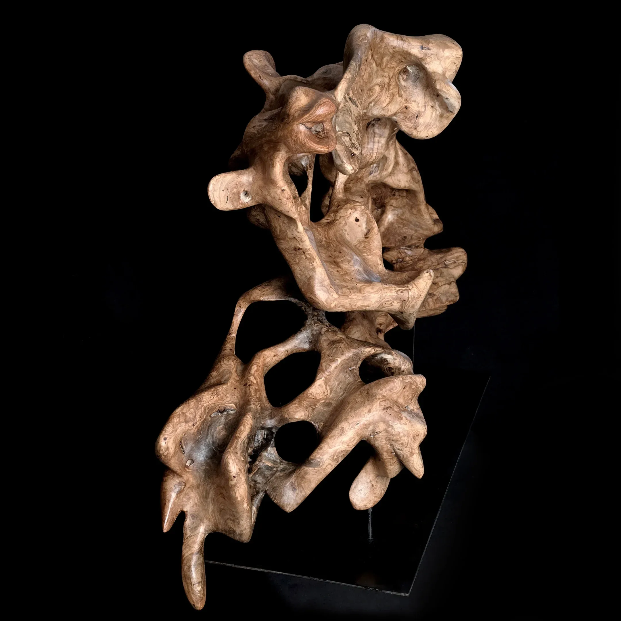 Genesis — olive wood sculpture, photo 4