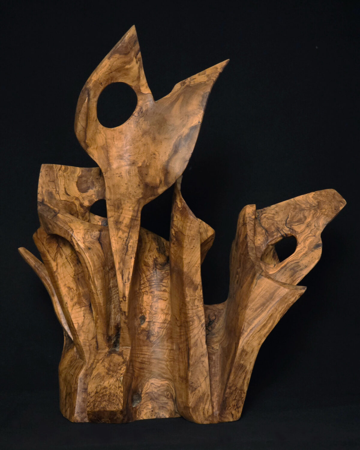Temps pétrifié – sculpture en bois d’olivier, photo 5