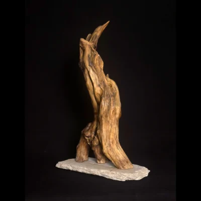 Fantôme de la Belle Époque – sculpture en bois d’olivier, photo 5