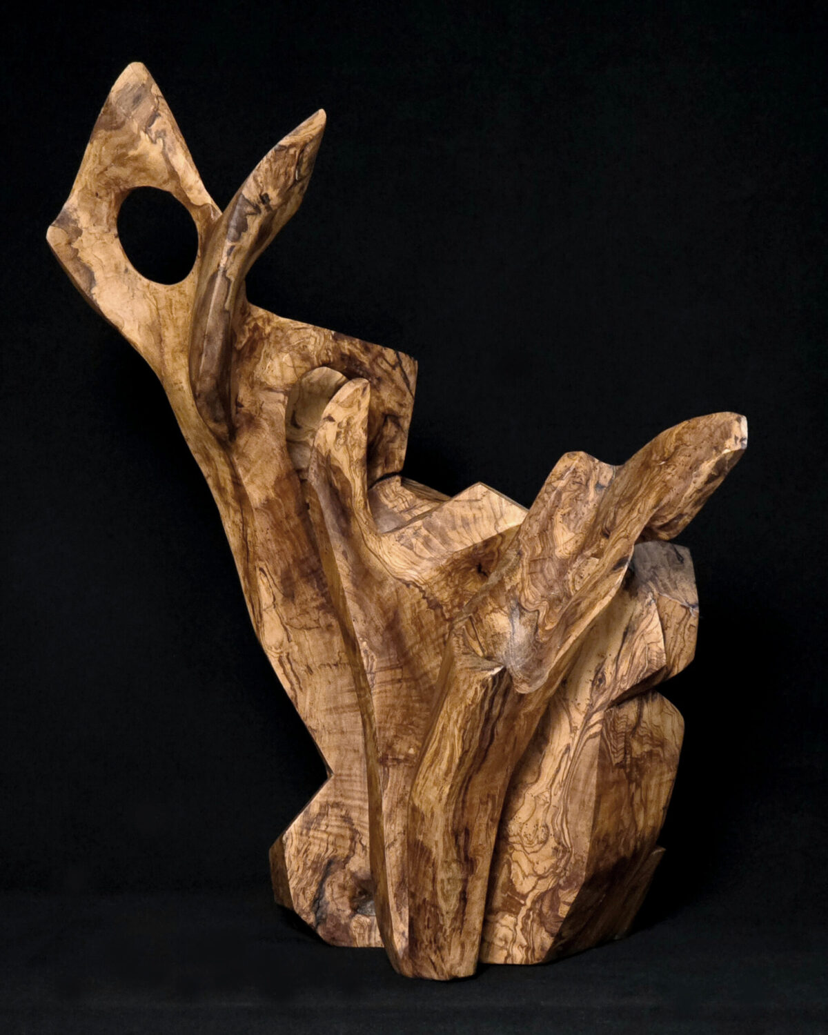 Temps pétrifié – sculpture en bois d’olivier, photo 6