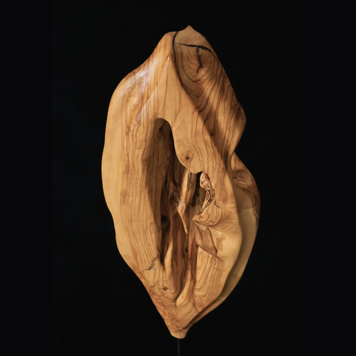 Origine – sculpture en bois d’olivier, photo 6