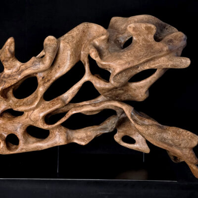 Genèse – sculpture en bois d’olivier, photo 6