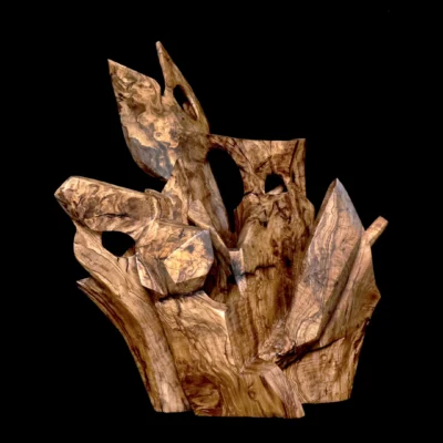 Temps pétrifié – sculpture en bois d’olivier, photo 7