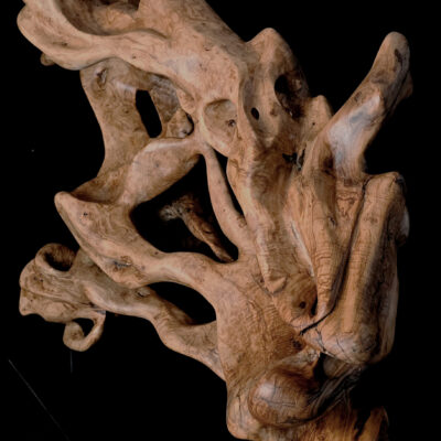 Genèse – sculpture en bois d’olivier, photo 7