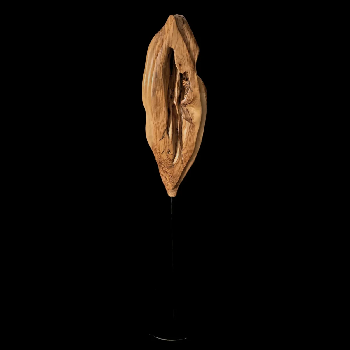 Origine – sculpture en bois d’olivier, photo 9