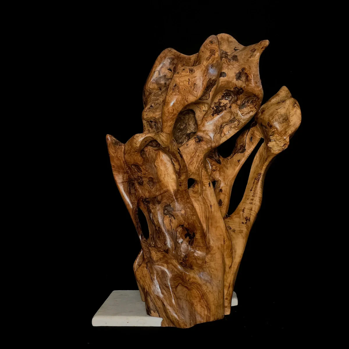 Chroniques du Commencement – sculpture en bois d’olivier, photo 3