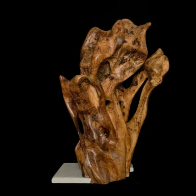 Chroniques du Commencement – sculpture en bois d’olivier, photo 3