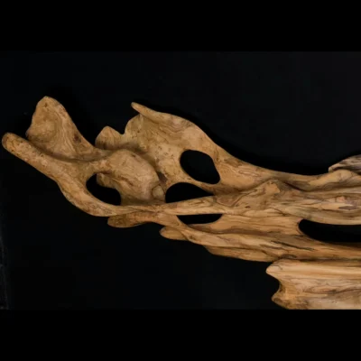 Ryūgin no Kage – L’Ombre du Dragon-Poisson — photo 4 Ryūgin no Kage – L’Ombre du Dragon-Poisson – sculpture en bois d’olivier, photo 4