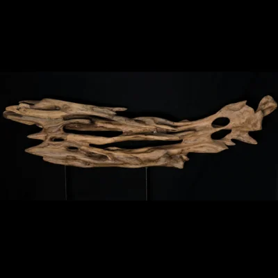 Ryūgin no Kage – L’Ombre du Dragon-Poisson — photo 5 Ryūgin no Kage – L’Ombre du Dragon-Poisson – sculpture en bois d’olivier, photo 5