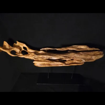 Ryūgin no Kage – L’Ombre du Dragon-Poisson — photo 6 Ryūgin no Kage – L’Ombre du Dragon-Poisson – sculpture en bois d’olivier, photo 6