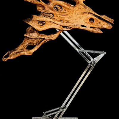 L’Éveil – sculpture en bois d’olivier, photo 10