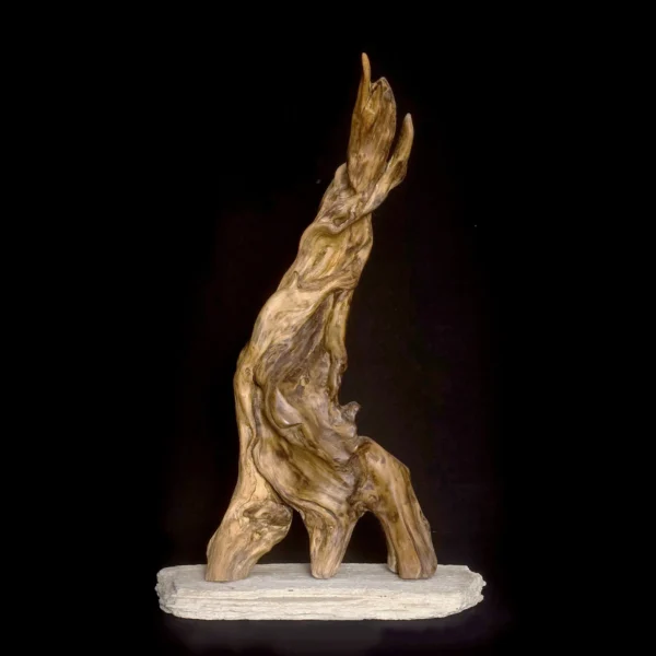 Ghost of the Belle Époque